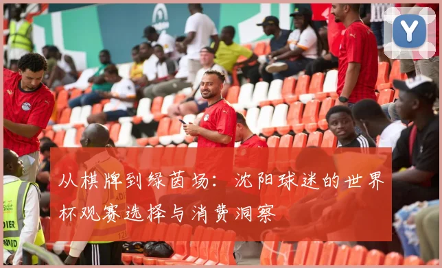 从棋牌到绿茵场：沈阳球迷的世界杯观赛选择与消费洞察