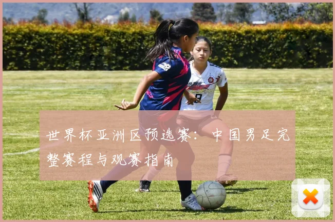 世界杯亚洲区预选赛:中国男足完整赛程与观赛指南