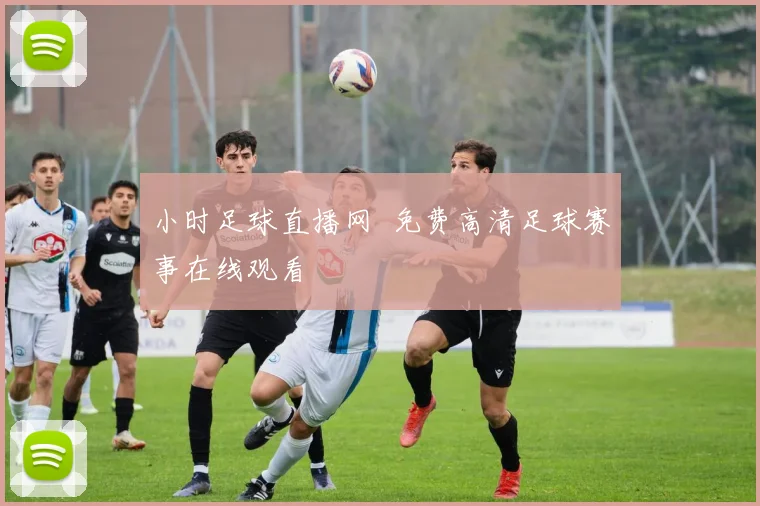 小时足球直播网 免费高清足球赛事在线观看
